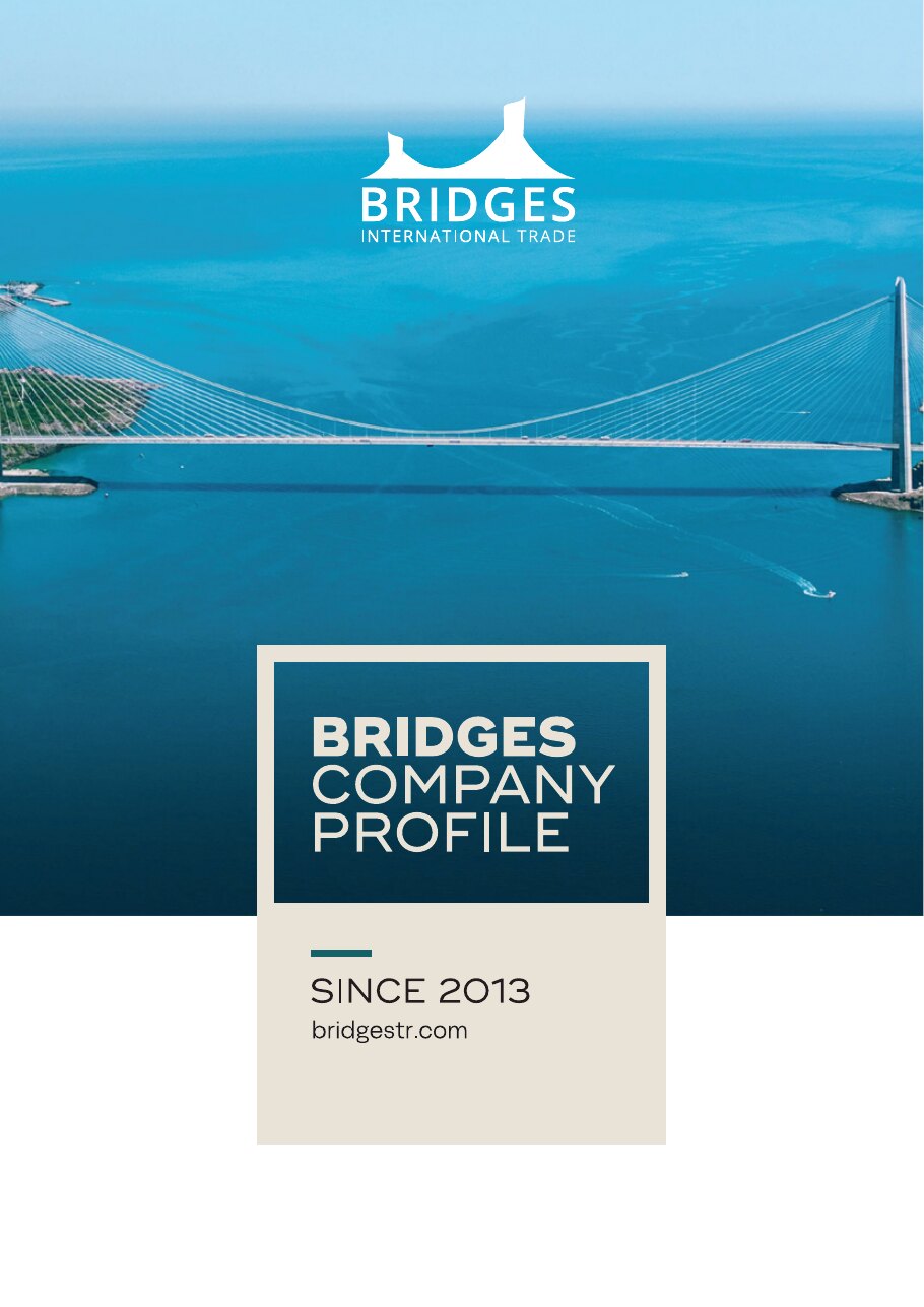 Bridges Company Profile cover